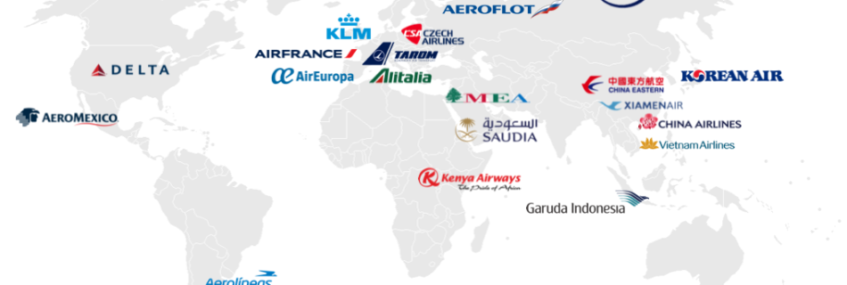 guide to sky team airline alliance, skyteam airline allianace, skyteam airlines, skyteam members, skyteam guide, sky team alliance