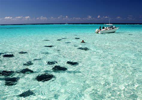 cayman islands, best flight deals, things to do, adventures