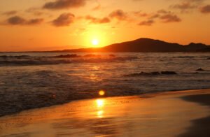 Read more about the article Galapagos Islands Cheap Flights, Award Flights, Adventures & Things To Do